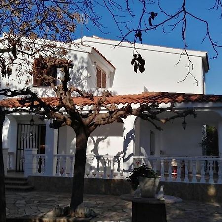 Chalet In Peñíscola Dış mekan fotoğraf